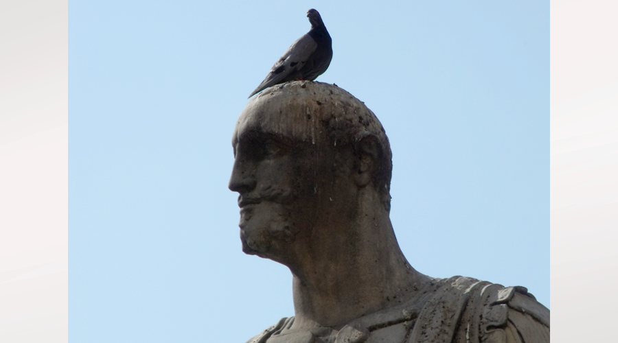 statue mit vogel auf dem kopf